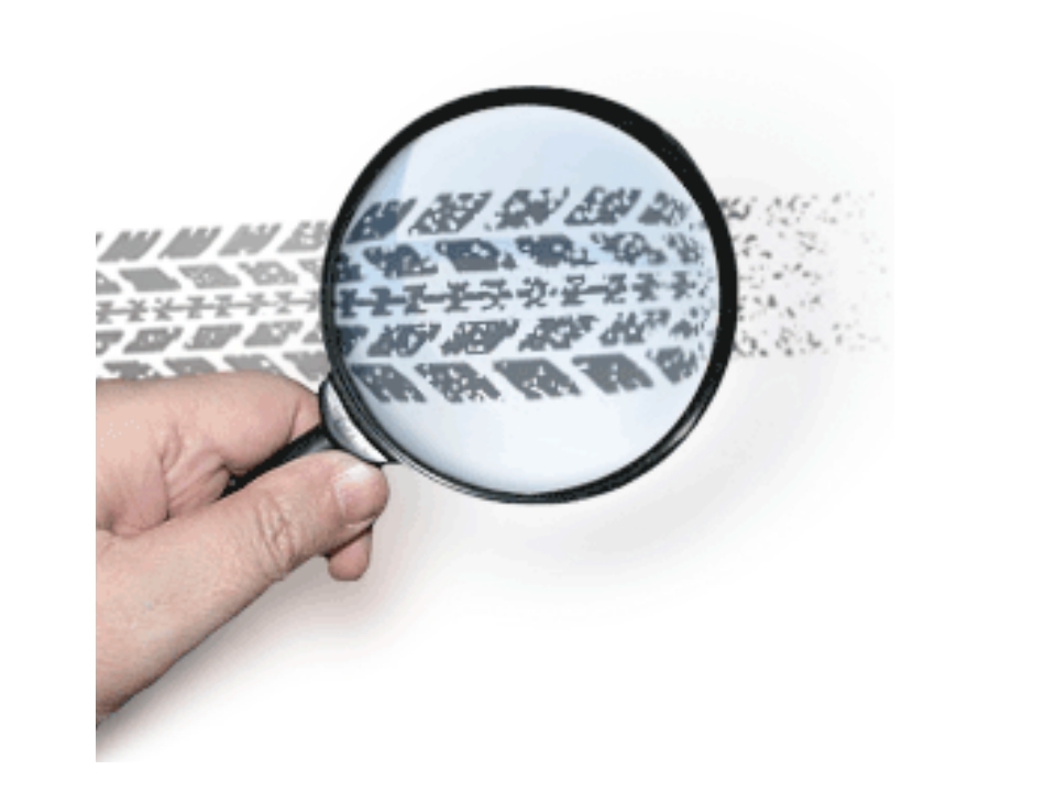 Трасологическая экспертиза